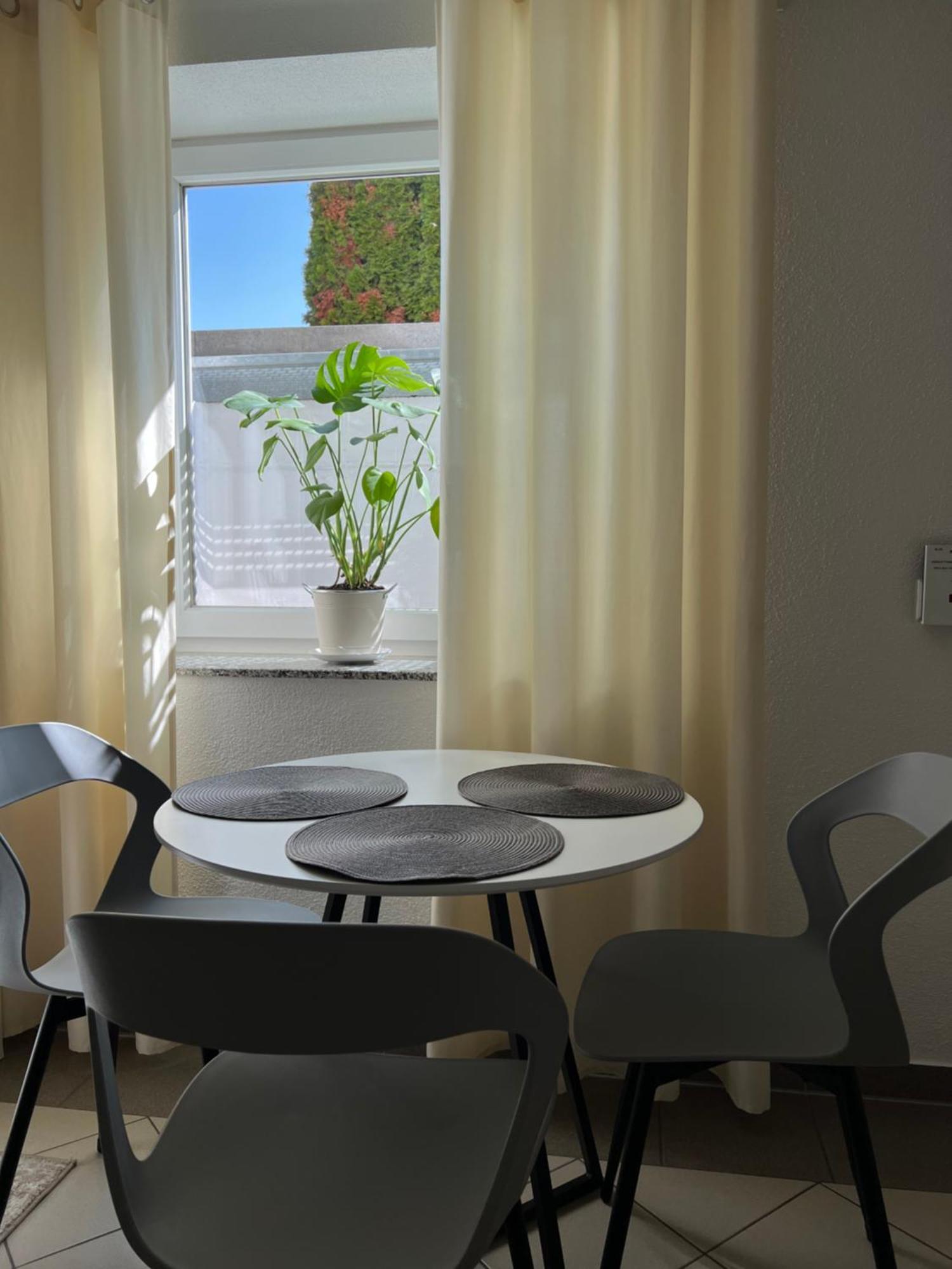 Einzimmer Apartment Niefern-Oeschelbronn